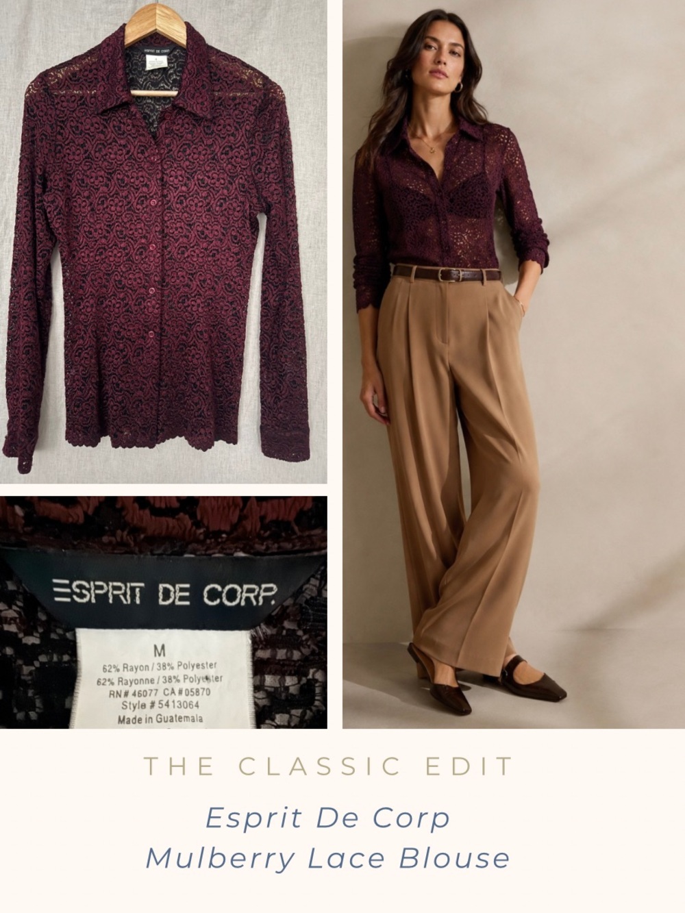 Esprit De Corp Mulberry Lace Button-Up Blouse